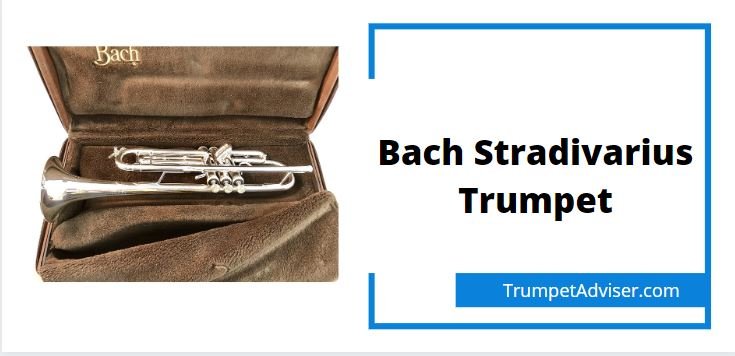 Bach Stradivarius Trumpet