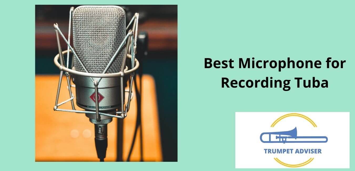 Best Microphone for Recording Tuba