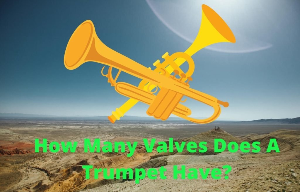 How Many Valves Does A Trumpet Have (Appropriate Answered)