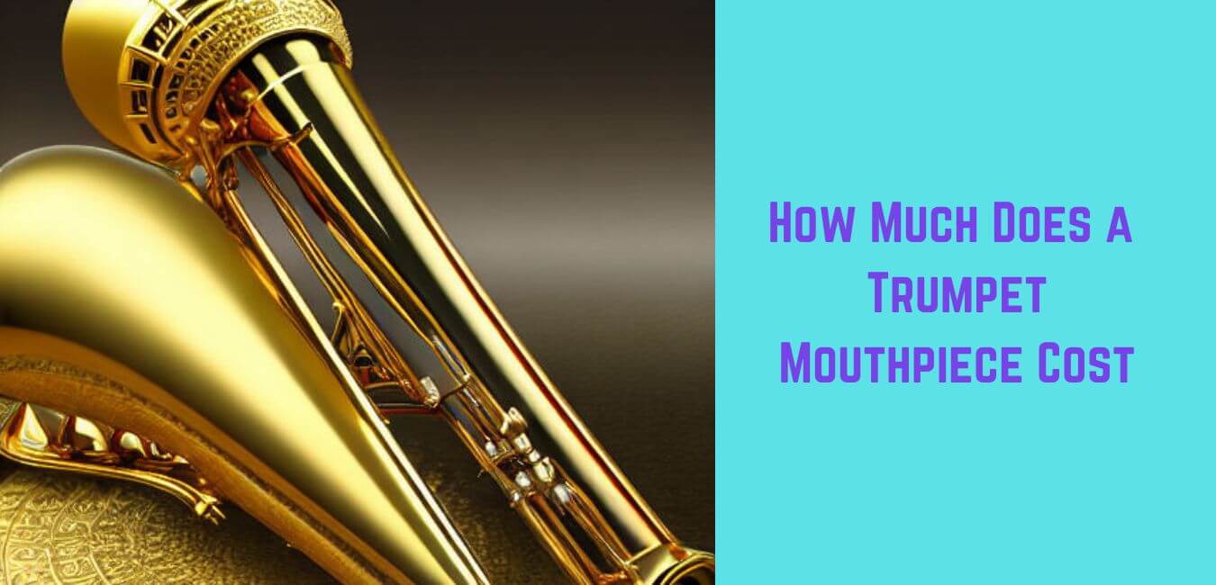 How Much Does a Trumpet Mouthpiece Cost