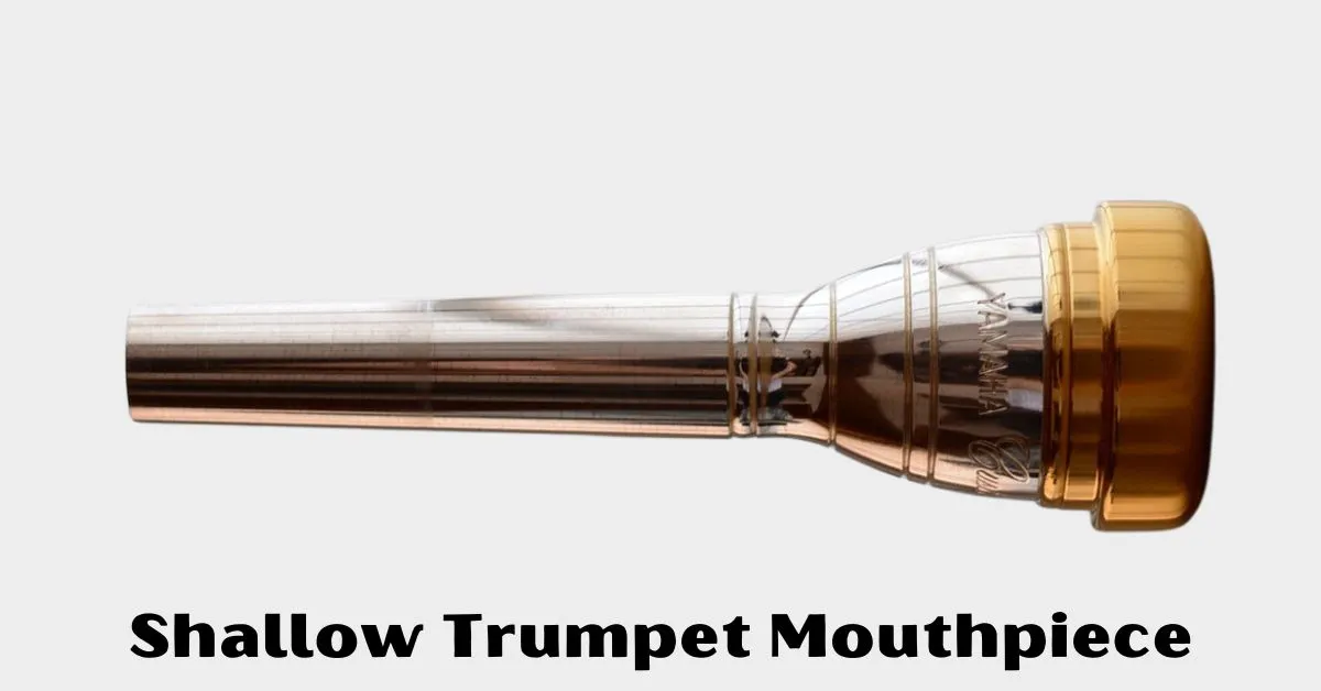 Shallow Trumpet Mouthpiece